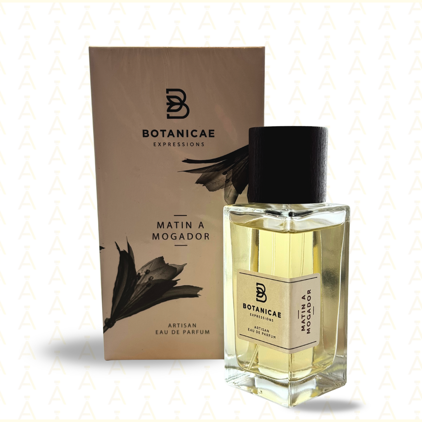 BOTANICAE - MATIN A MOGADOR