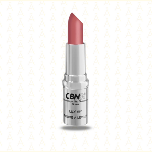 CBN - LUXURY MAKE UP ROSSETTO LUCIDO ROSE BRILLANT 04